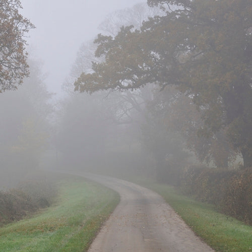 Five Autumn Teas for Cosy Moments