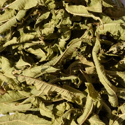 The Flavour of Herbal Teas