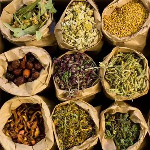 Herbal teas and their health benefits.