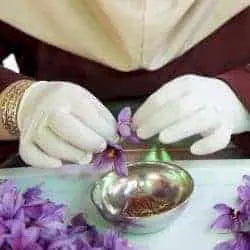 Saffron Infusion