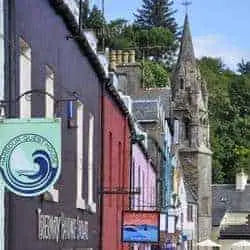 Which teas to choose for a tea menu