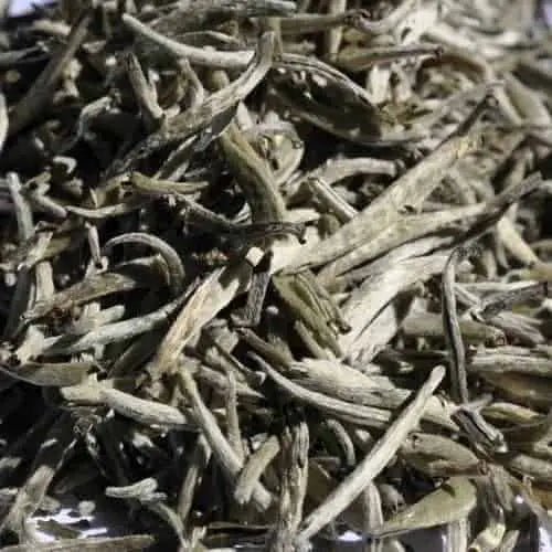 Introduction to White Tea