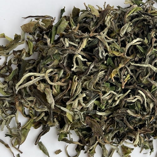 Darjeeling Sungma First Flush 2024 Moonshine