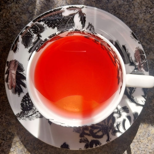 Hibiscus Flower Infusion