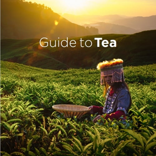 Tea Guide