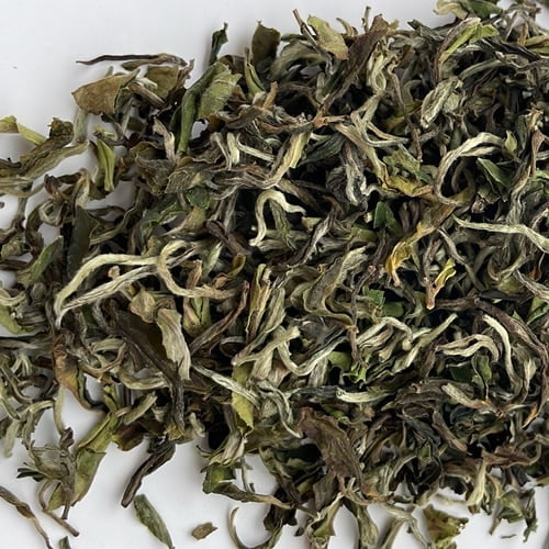 Buy loose leaf teas online - Darjeeling Sungma First Flush 2022 Moonshine