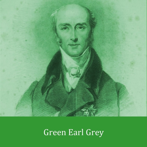 Buy loose leaf teas online - Green Earl Grey Tea