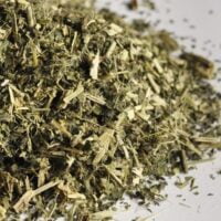 Buy loose leaf teas online - Nettle Leaf Herbal Tea Infusion