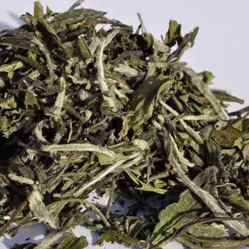 Buy loose leaf teas online - Pai Mu Tan white tea