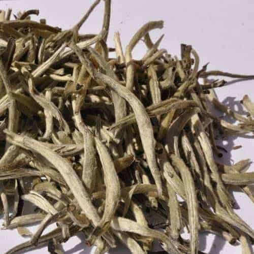 Buy loose leaf teas online - White Pu-erh Budset Tea