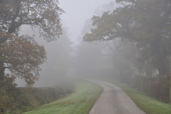 Lane near Beausale